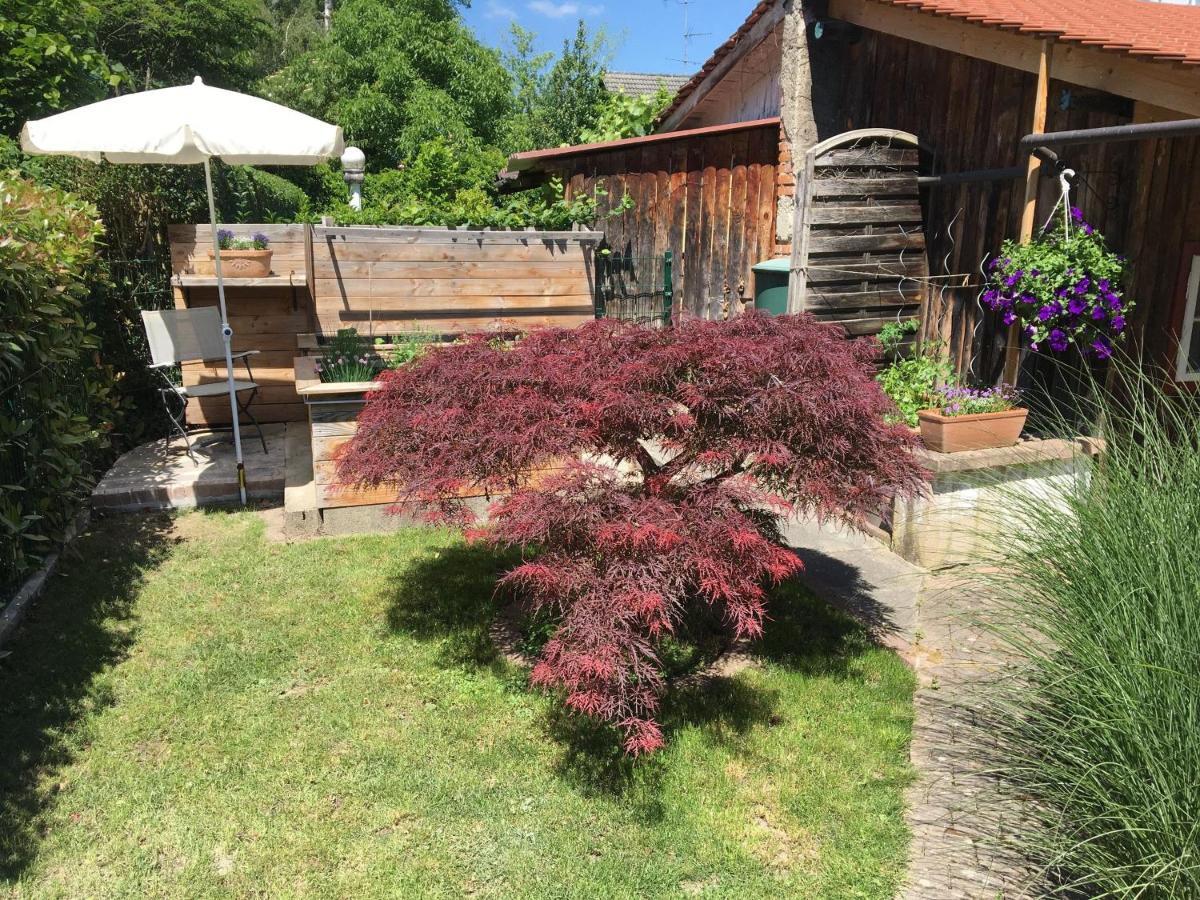 Ferienwohnung Dashaus Rheinfelden  Ngoại thất bức ảnh